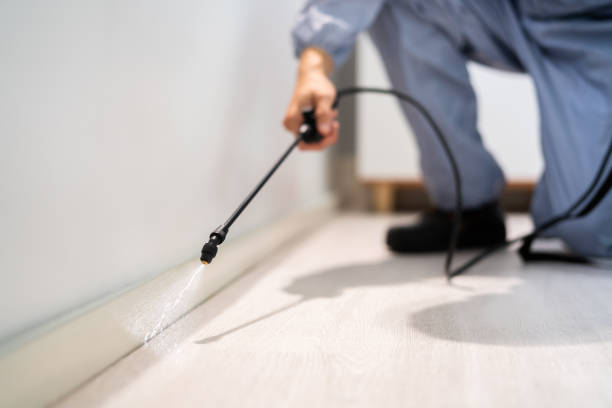 Licensed Termite Control service in Meade County County, KS - Nex Pest Control
