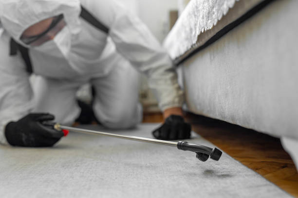 Professional Termite Control technician working in Meade County County, KS